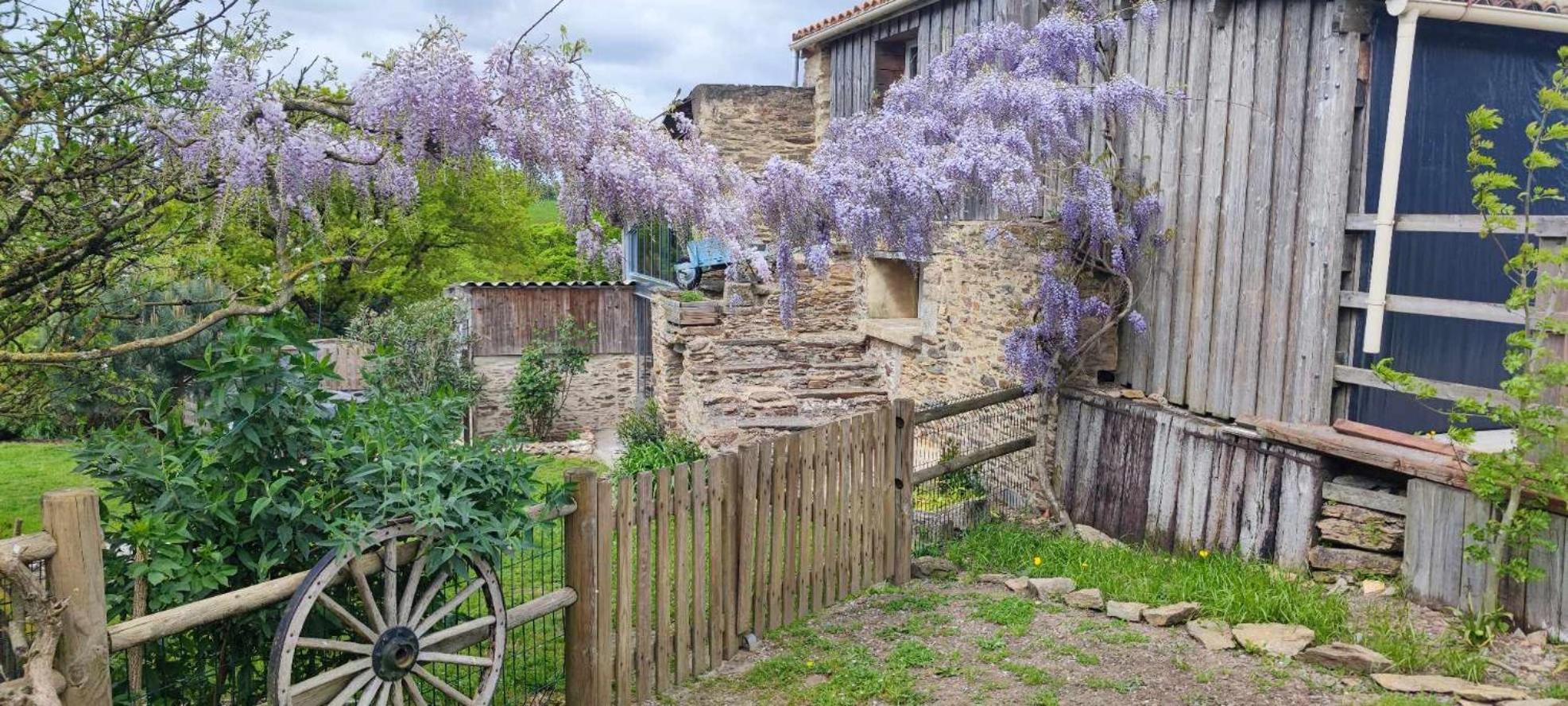 Aux Yourtes De La Fabrique Saint-Florent-des-Bois Eksteriør billede